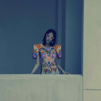 Sabine Ducasse: The Melting Pot