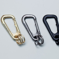 (multee)project “Type-1″ Custom Carabiners