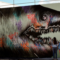 Changing The Game,  POW WOW Hawaii