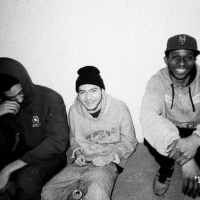 RATKING – 100