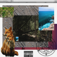 Sir Michael Rocks – BANCO