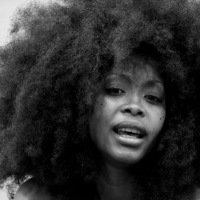 Erykah Badu – Honey (FloFilz & Pawcut Remix)