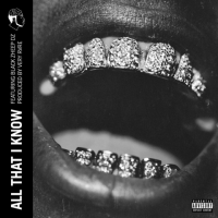 Mass – All That I Know feat. Black Zheep DZ (Video)