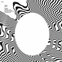WOKE (Flying Lotus, Shabazz Palaces, Thundercat) – The Lavishments of Light Looking feat. George Clinton