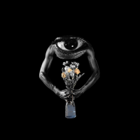 lojii – dutti