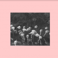 Jude Shuma – Lemonade