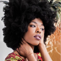 Sudan Archives To Open For Tune-Yards Tour + Coachella 2018