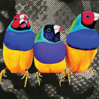 Eric Elms ‘ViewSonic’ Opens Friday, March 8th, 6 – 10PM