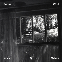 Please Wait Shares ‘Black & White’ EP + ‘Flight 99’ Video Featuring Masego